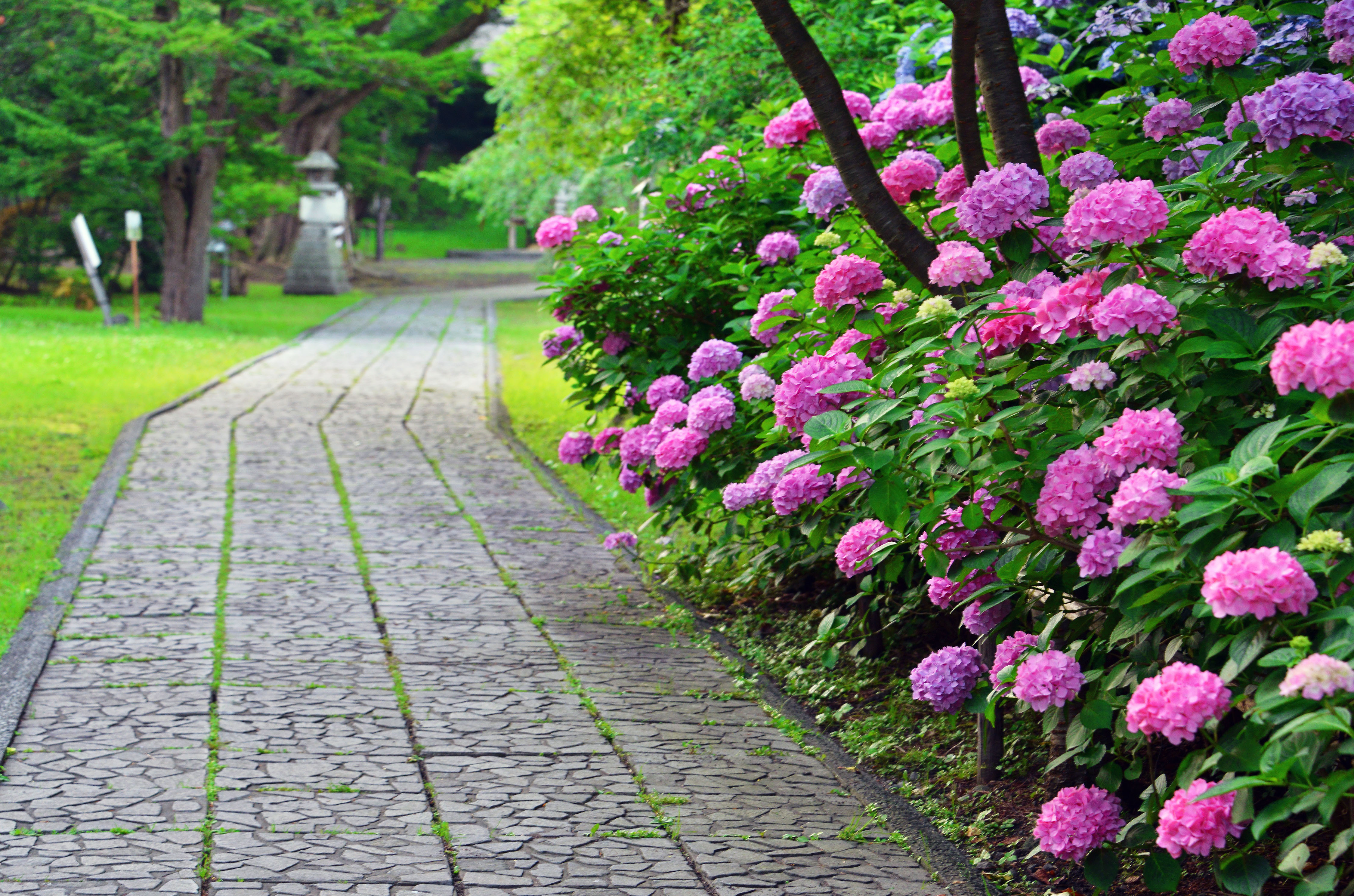 2019年6月：労務・税務スケジュール